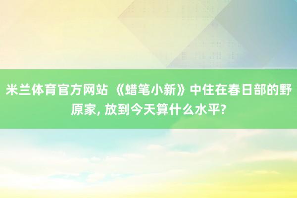 米兰体育官方网站 《蜡笔小新》中住在春日部的野原家, 放到今天算什么水平?