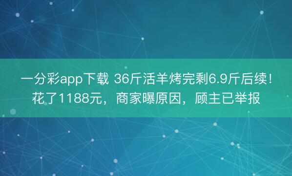 一分彩app下载 36斤活羊烤完剩6.9斤后续！花了1188元，商家曝原因，顾主已举报